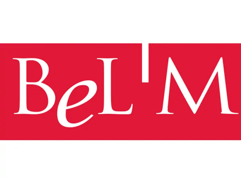 B'elem